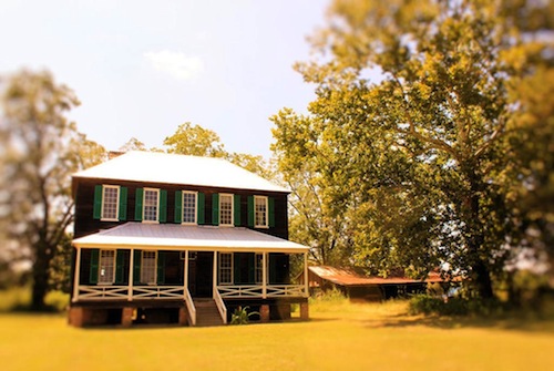 Koger Plantation